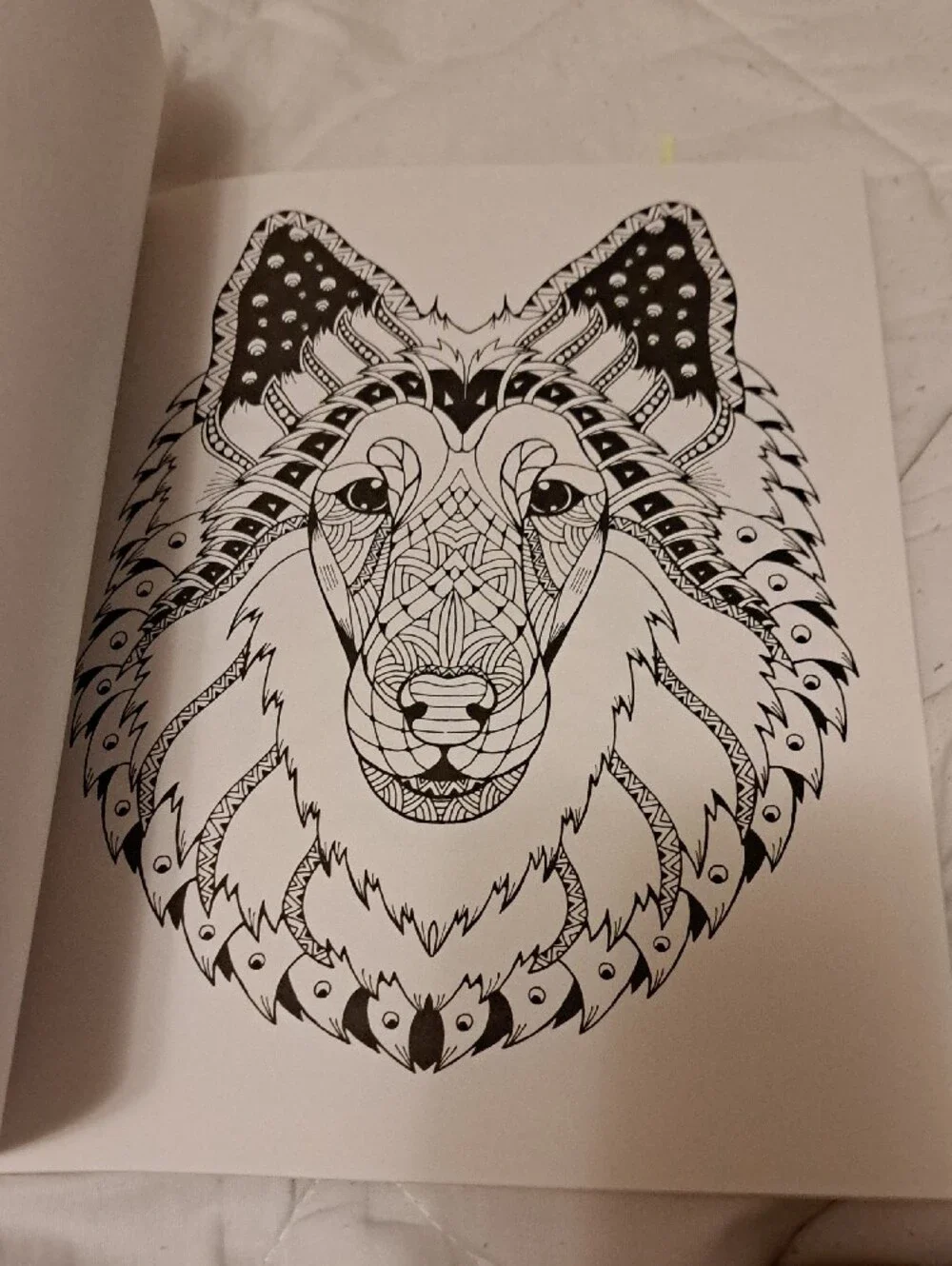 Colorama Delightful Dogs Coloring Book by Bullhead – Multicolor